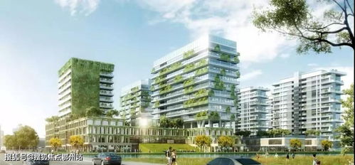 金地 云棲灣官方網站 技術開發與歡迎體驗