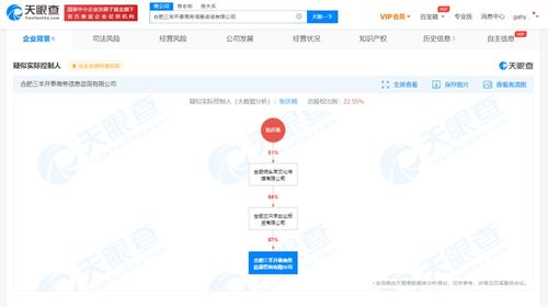 商務(wù)信息咨詢 企業(yè)決策的智慧引擎