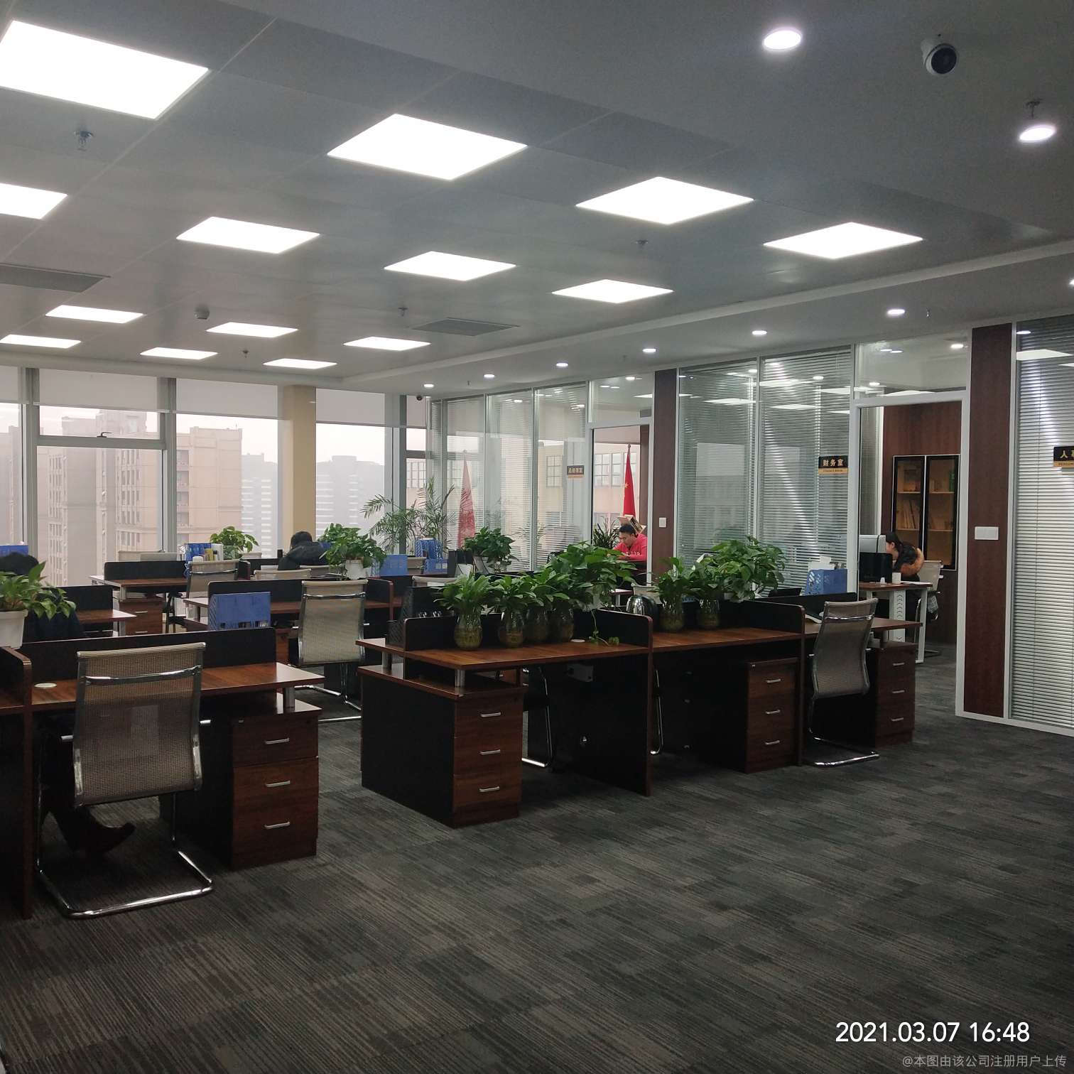 言啟商務信息咨詢 洞察數據，賦能決策