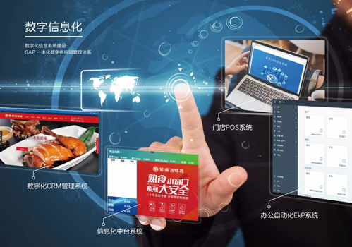 數智賦能，全球布局 紫燕食品駛入高質量發展快車道